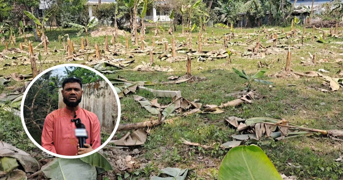 ব্যবসায়ী জয়নালের বিরুদ্ধে অপপ্রচারের অভিযোগ