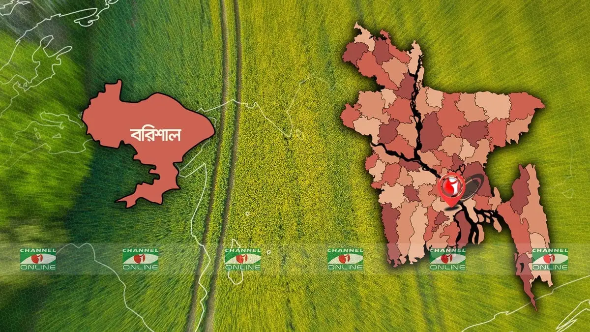 বরিশালে নানা বাড়ির পুকুরে ডুবে ভাইবোনের মৃত্যু