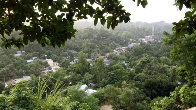 ডগ স্কোয়াড-হেলিকপ্টারসহ সলিমপুর জঙ্গলে যৌথ বাহিনীর সাঁড়াশি অভিযান