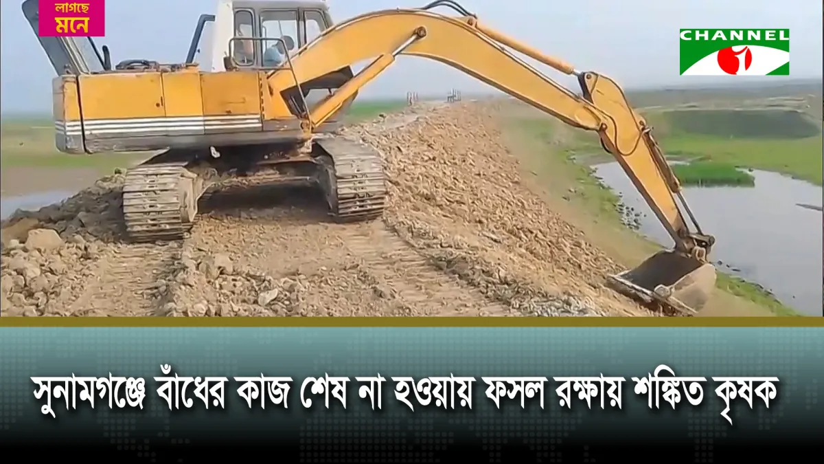 অনেক জায়গায় শেষ হয়নি বাঁধের কাজ, শঙ্কায় হাওর এলাকার কৃষক