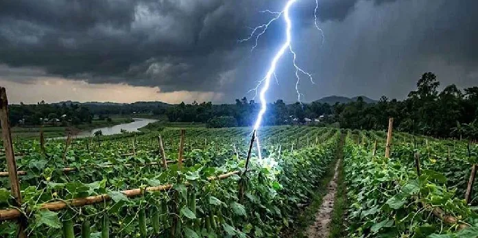 বজ্রপাতে পঞ্চম শ্রেণির শিক্ষার্থীর মৃত্যু