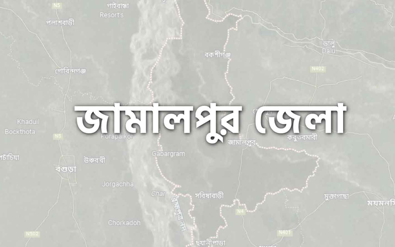 ঘরের উপর গাছ পড়ে মা ও দুই মেয়ে নিহত