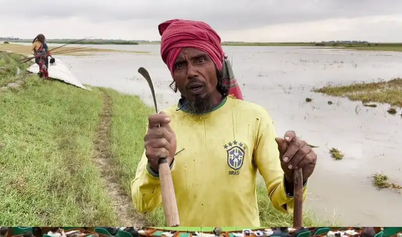 বাংলাদেশি কৃষক পানির মধ্যে দাঁড়িয়ে, চাষাবাদের জন্য প্রস্তুত।. Channel i News - চ্যানেল আই নিউজ