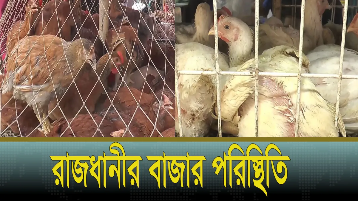 স্থিতিশীল কাঁচাবাজার, তবে কমেনি সোনালি মুরগীর দাম