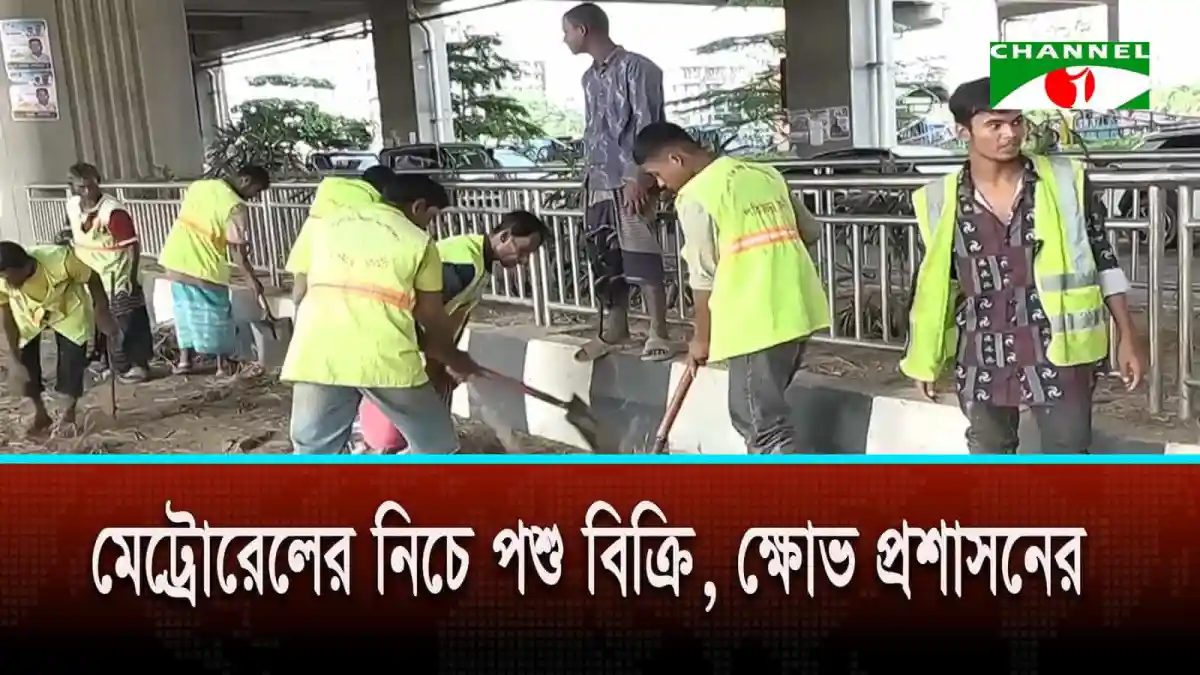 ঢাকার কোরবানির হাটে শেষ মুহূর্তে দামে বড় পতন, বিক্রেতারা উদ্বিগ্ন. Channel i News - চ্যানেল আই নিউজ