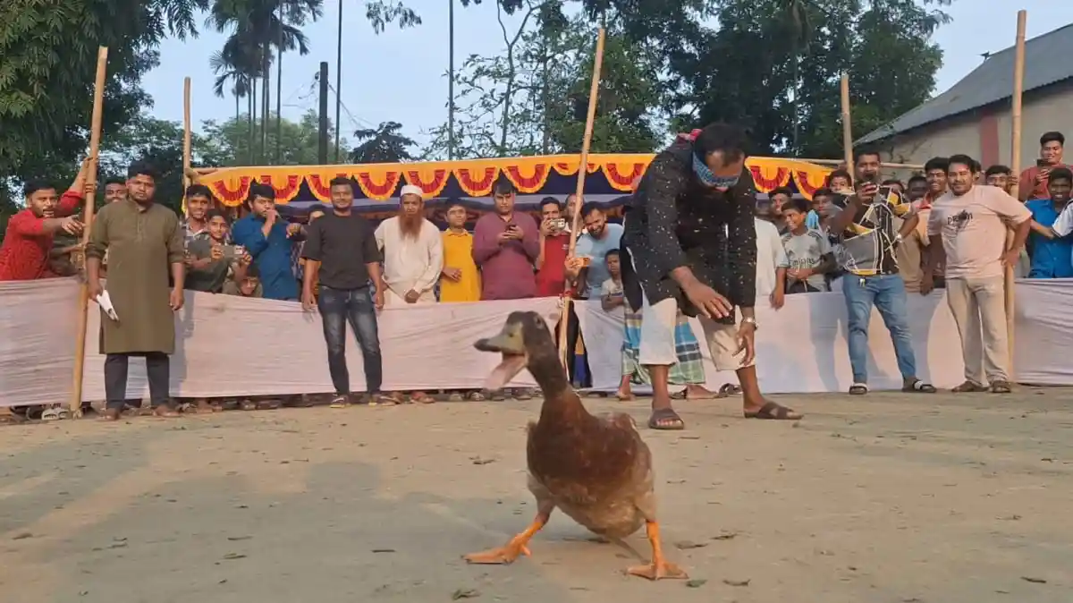 কিশোরগঞ্জে ঈদের আনন্দে হাঁস ধরা খেলায় অংশগ্রহণকারীরা. Channel i News - চ্যানেল আই নিউজ