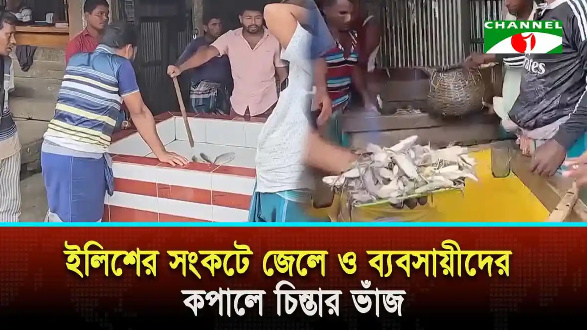 ভোলার নদীতে ইলিশ মাছ বিক্রির দৃশ্য, বাজারে মাছের চাহিদা. Channel i News - চ্যানেল আই নিউজ