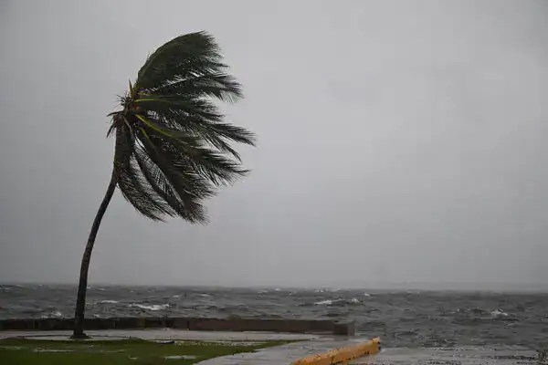 বাতাসে দুলছে একটিমাত্র গাছের পাতা, ঝড়ের প্রভাব স্পষ্ট. Channel i News - চ্যানেল আই নিউজ