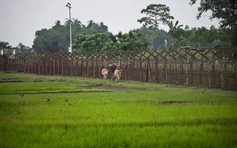 বাংলাদেশ-ভারত সীমান্তে বিএসএফের গুলিতে নিহত বাংলাদেশি নাগরিকের ছবি. Channel i News - চ্যানেল আই নিউজ