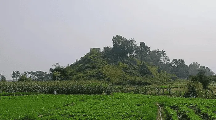 বান্দরবান সীমান্তের পাহাড়ি এলাকা, সবুজ বন ও কৃষি জমি. Channel i News - চ্যানেল আই নিউজ