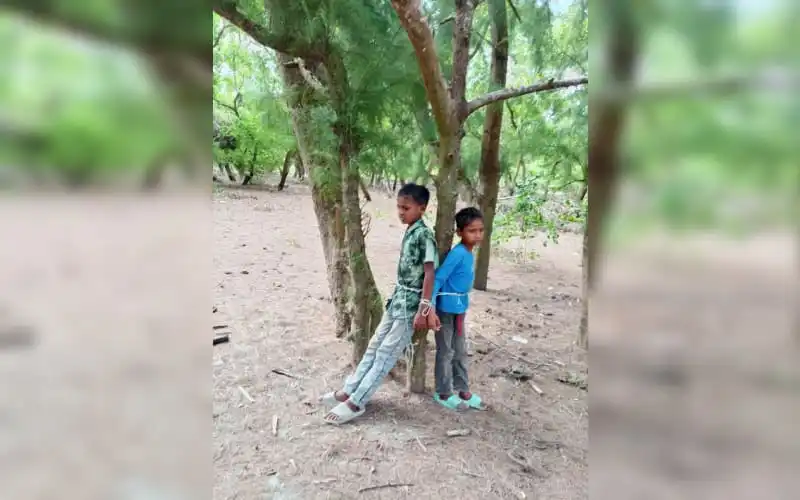 দুই শিশু গাছে বাঁধা, নির্যাতনের ছবি, চুরির অভিযোগে।. Channel i News - চ্যানেল আই নিউজ