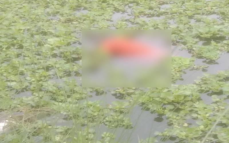 নিখোঁজের দুদিন পর যুবকের মরদেহ উদ্ধার