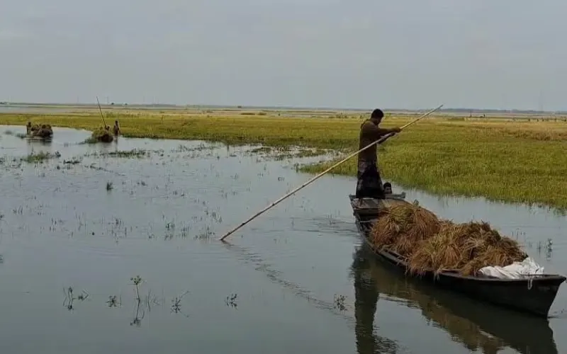 নদীতে মাছ ধরছেন একজন ব্যক্তি, চারটি নৌকা পাশে রয়েছে. Channel i News - চ্যানেল আই নিউজ