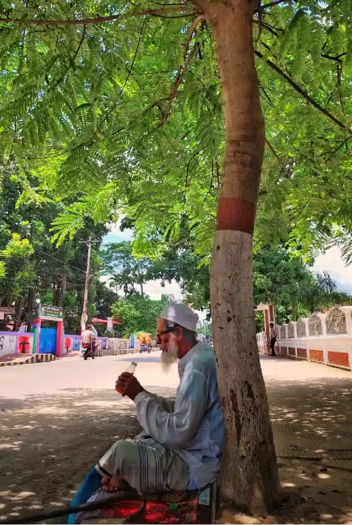 বাংলাদেশ ক্রিকেটাররা ব্যাটিং করছে, মাঠে খেলোয়াড়রা প্রস্তুত. Channel i News - চ্যানেল আই নিউজ