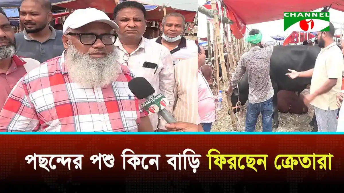 রাজধানীতে কোরবানির পশুর হাটে মানুষের ভিড় ও পশু বিক্রির দৃশ্য. Channel i News - চ্যানেল আই নিউজ