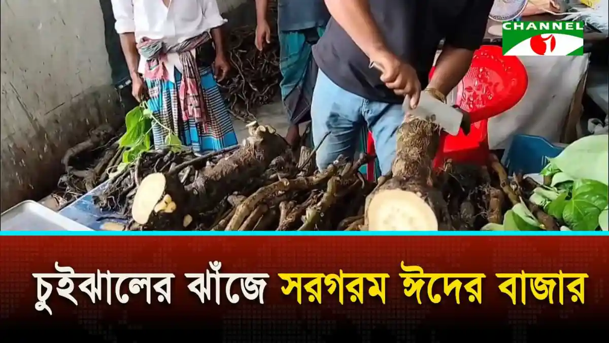 বাগেরহাটে চুইঝালের ঝাঁজে সরগরম ঈদের বাজার, মানুষজন বাজারে ব্যস্ত. Channel i News - চ্যানেল আই নিউজ