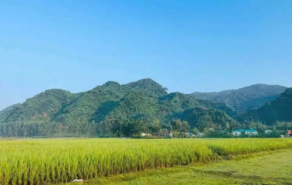 সবুজ পাহাড় ও ধানক্ষেতের মনোরম দৃশ্য, শান্ত পরিবেশ. Channel i News - চ্যানেল আই নিউজ