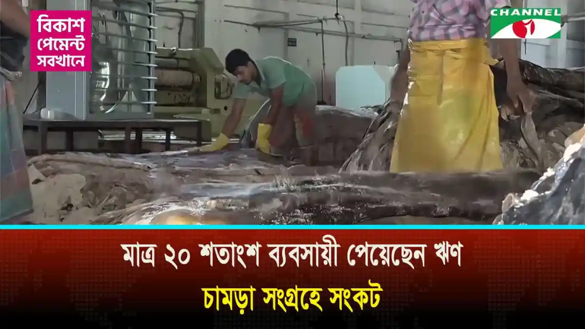 নগদ টাকার সংকটে চামড়া কিনতে পারেননি অধিকাংশ ট্যানারি ব্যবসায়ী