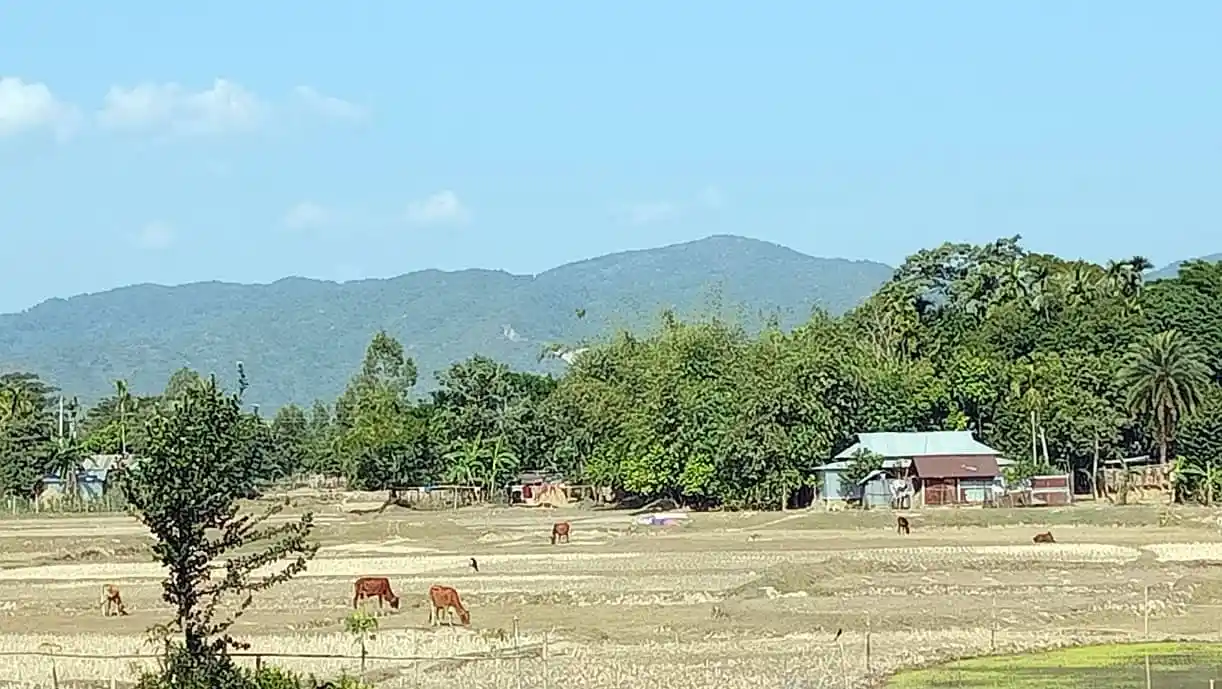 দুর্গাপুর-কলমাকান্দার প্রাকৃতিক দৃশ্য ও গ্রামীণ জীবন. Channel i News - চ্যানেল আই নিউজ