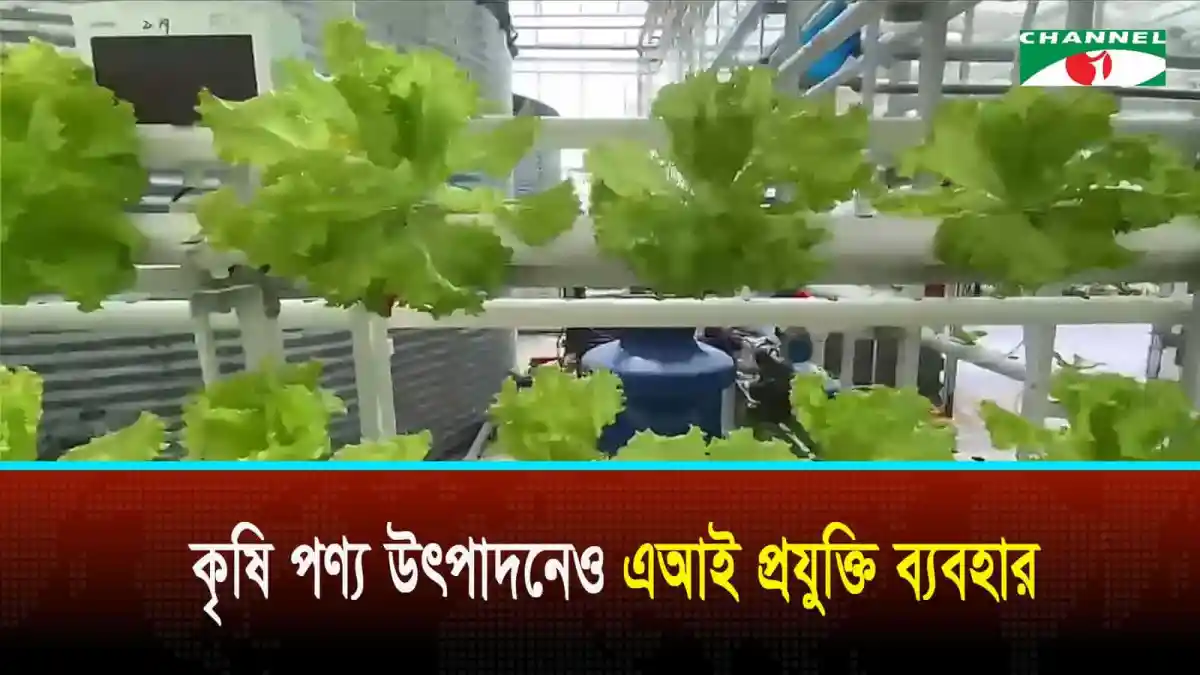 চীনে এআই প্রযুক্তি ব্যবহারে কৃষি পণ্য উৎপাদনের দৃশ্য. Channel i News - চ্যানেল আই নিউজ
