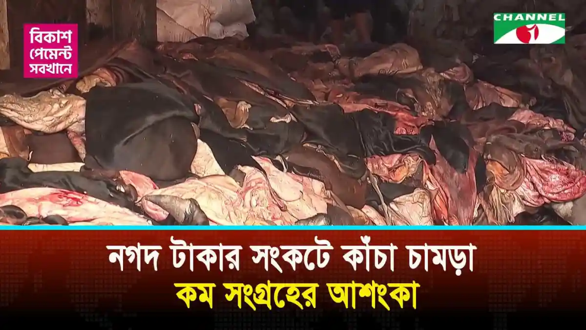 নগদ টাকার সংকটে কাঁচা চামড়া কম সংগ্রহের আশংকা