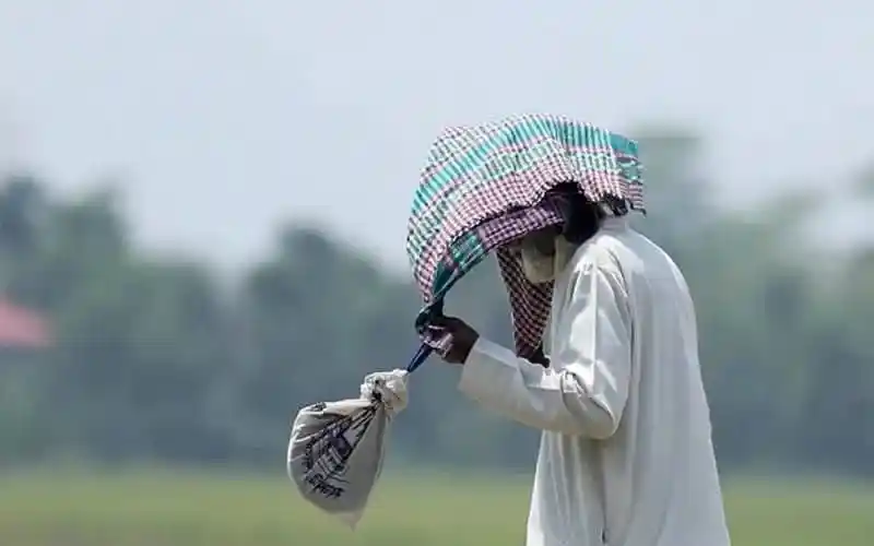 একজন কৃষক ধানক্ষেতের পাশে কাজ করছেন, সূর্য্যর তাপের মধ্যে।. Channel i News - চ্যানেল আই নিউজ