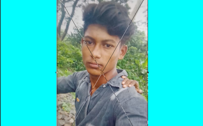 সীমান্তে ঘাস সংগ্রহে থাকা বাংলাদেশি যুবককে ধরে নিয়ে গেছে বিএসএফ