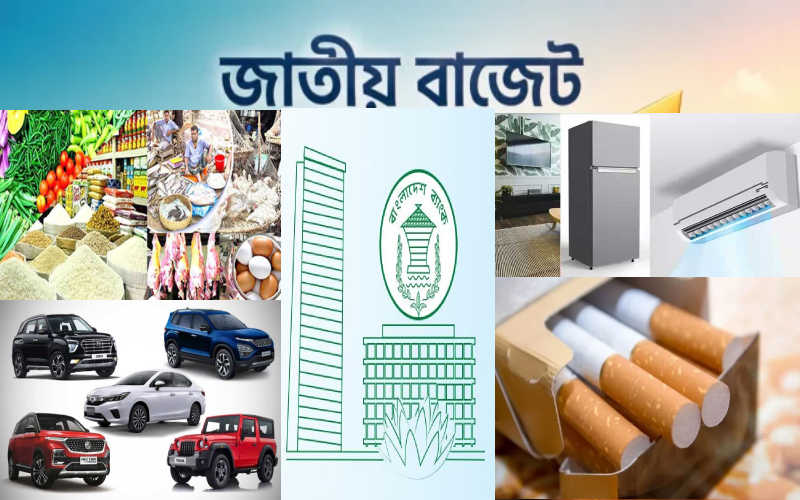 বাংলাদেশের বাজেটে পণ্যের দাম কমছে ও বাড়ছে, ছবি বিশদ. Channel i News - চ্যানেল আই নিউজ