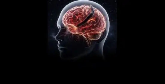বুদ্ধিজীবী কারা?
