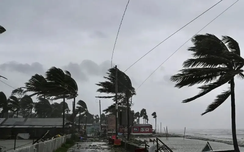 বঙ্গোপসাগরে ঝড়ের কারণে বাতাসে দুলছে পাতা ও গাছের ডাল. Channel i News - চ্যানেল আই নিউজ