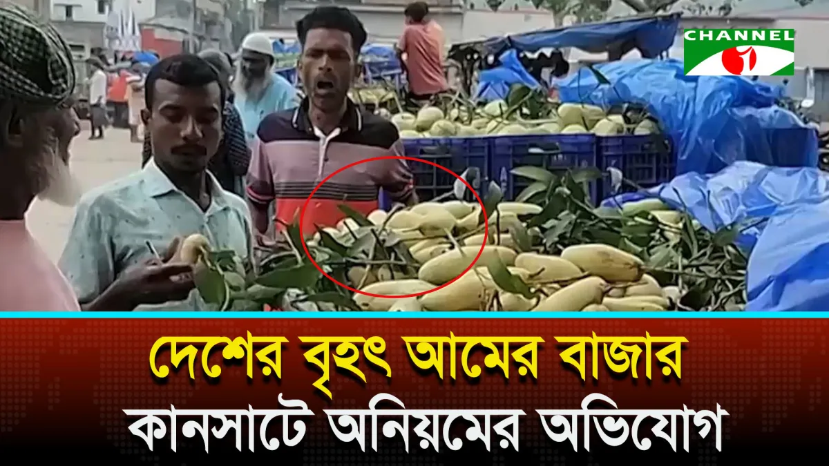 কানসাটে আমের বাজারে অনিয়মের অভিযোগ, ক্রেতা ও বিক্রেতাদের মধ্যে উত্তেজনা. Channel i News - চ্যানেল আই নিউজ