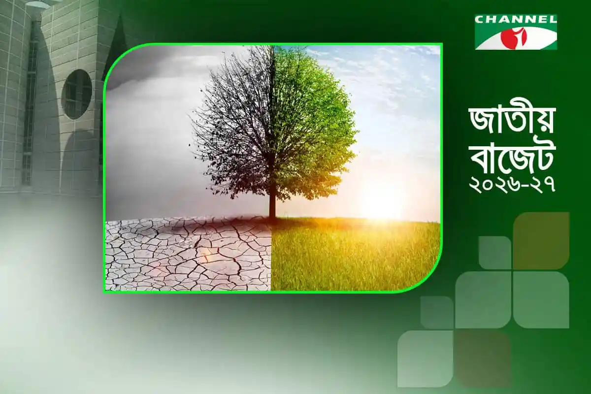 প্রাকৃতিক পরিবেশের পরিবর্তন দেখাচ্ছে গাছের দুই রকম ছবি. Channel i News - চ্যানেল আই নিউজ