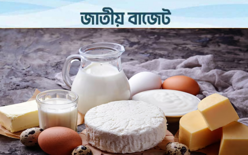পোল্ট্রি ও ডেইরি খাতে বড় স্বস্তি, পশুখাদ্য ও যন্ত্রপাতিতে শূন্য শুল্ক সুবিধা