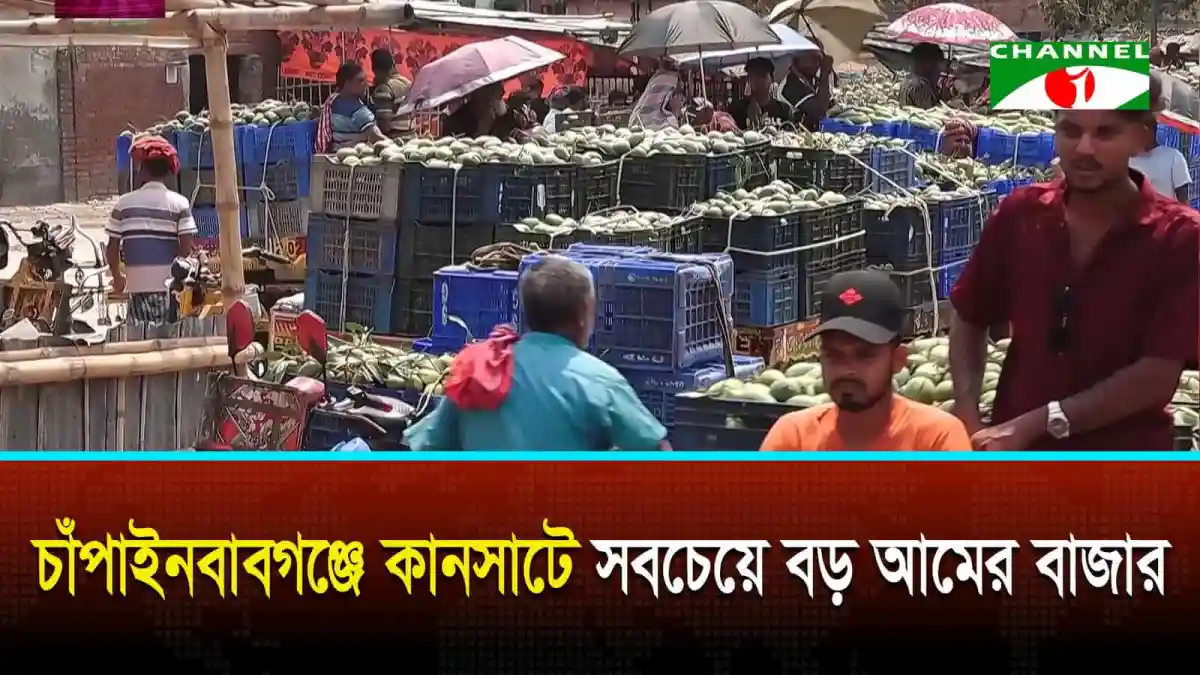 বাংলাদেশের আমের বাজারে বিভিন্ন জাতের আমের ব্যাপক চাহিদা. Channel i News - চ্যানেল আই নিউজ