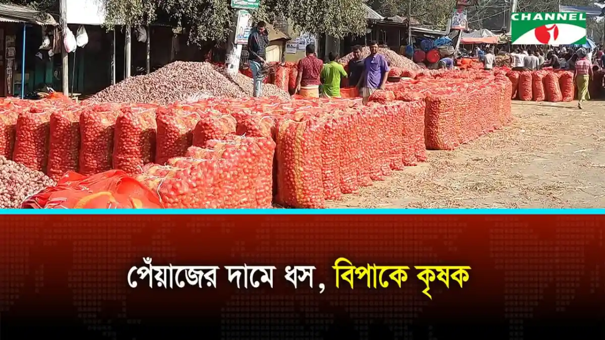 পেঁয়াজের বড় বড় ঝুড়ি ও ব্যাগের ছবি, কৃষকদের পণ্য বিক্রির জন্য প্রস্তুত. Channel i News - চ্যানেল আই নিউজ