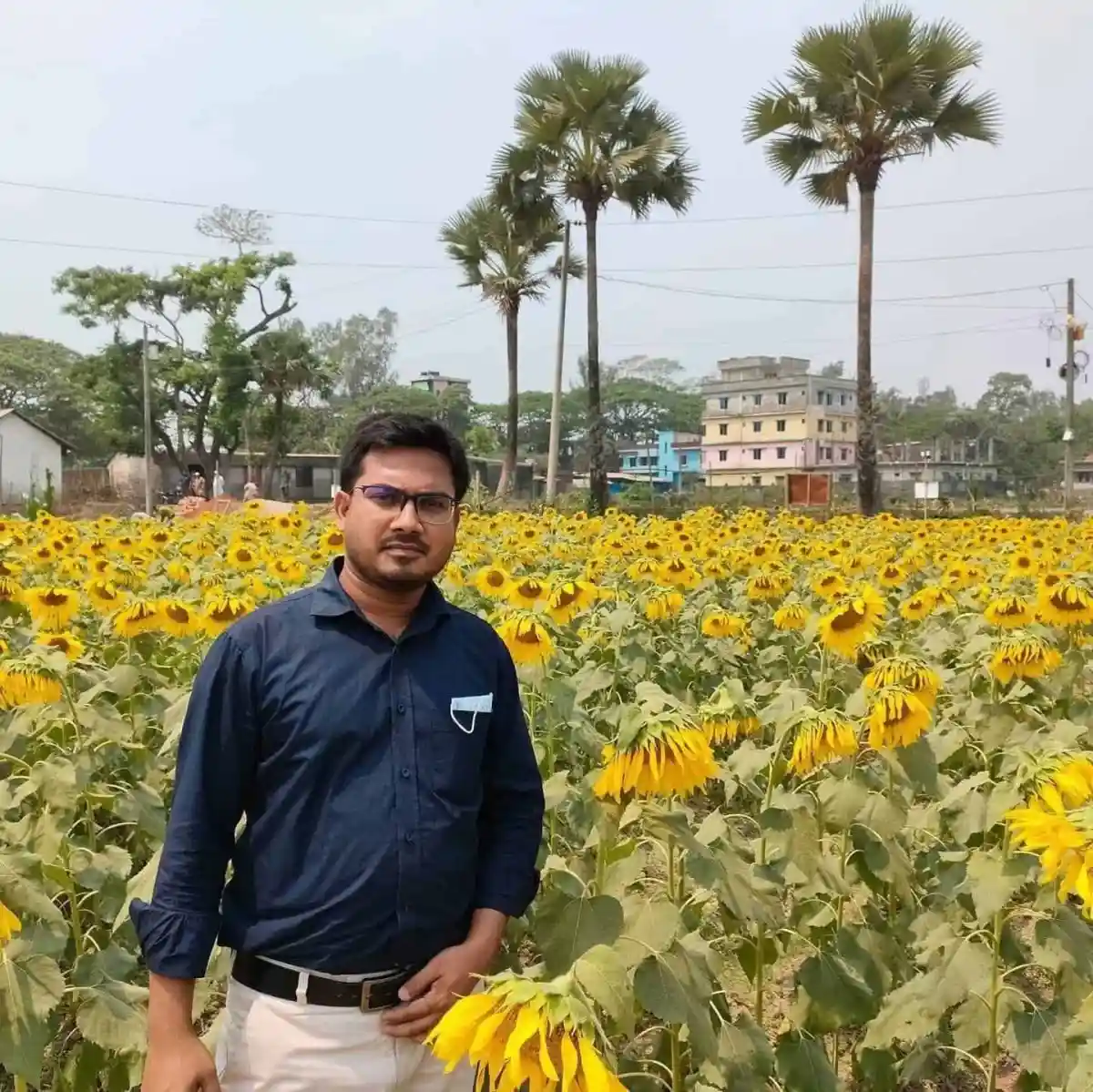 একজন ব্যক্তি সূর্যমুখী ফুলের মাঠে দাঁড়িয়ে আছেন. Channel i News - চ্যানেল আই নিউজ