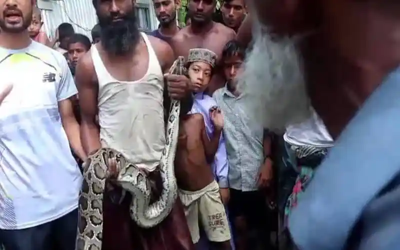 কুড়িগ্রামে ১০ ফুট লম্বা অজগর সাপ উদ্ধার, স্থানীয়রা দেখছে. Channel i News - চ্যানেল আই নিউজ