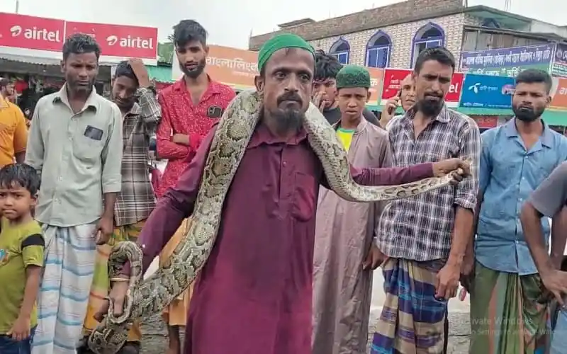 অজগর সাপ সহ একজন ব্যক্তি ও তার চারপাশে দর্শকরা. Channel i News - চ্যানেল আই নিউজ