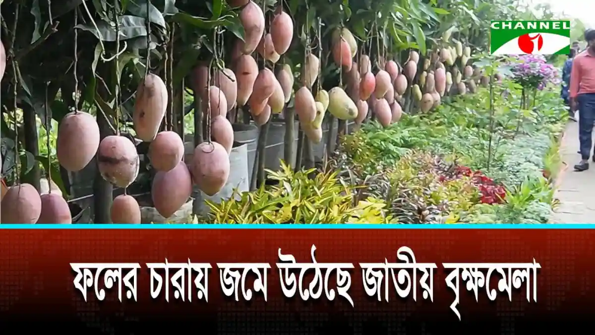 বৃক্ষমেলায় ছাদকৃষি উপযোগী চারা ও সরঞ্জাম বিক্রি বেড়েছে