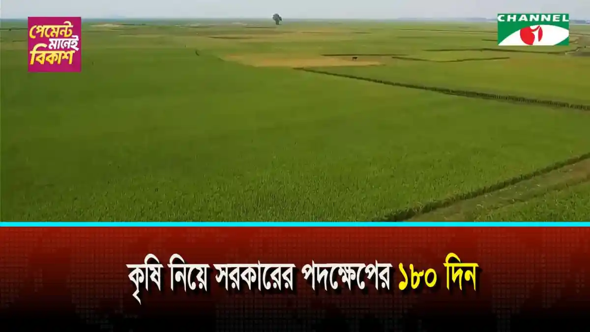 কৃষি নিয়ে সরকারের পদক্ষেপের ১৮০ দিন