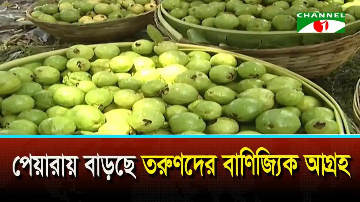 পেয়ারার বাজারে তরুণদের বাণিজ্যিক আগ্রহের ছবি. Channel i News - চ্যানেল আই নিউজ