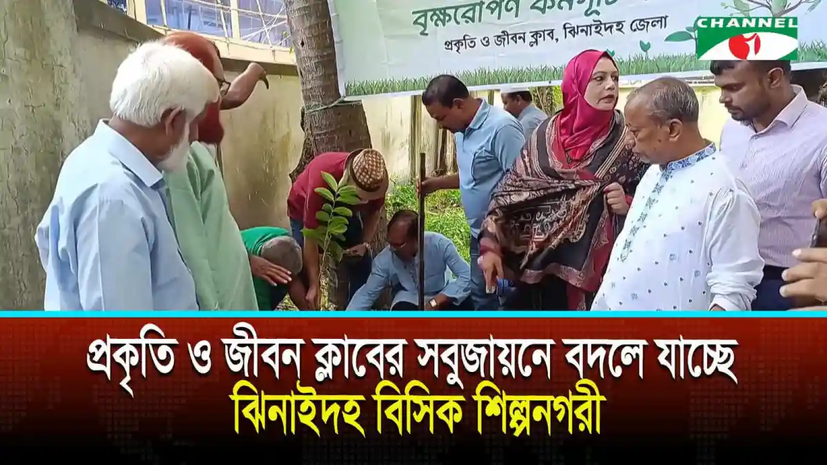 ঝিনাইদহ বিসিক শিল্পনগরীতে প্রকৃতি ও জীবন ক্লাবের বৃক্ষরোপণ কর্মসূচি. Channel i News - চ্যানেল আই নিউজ