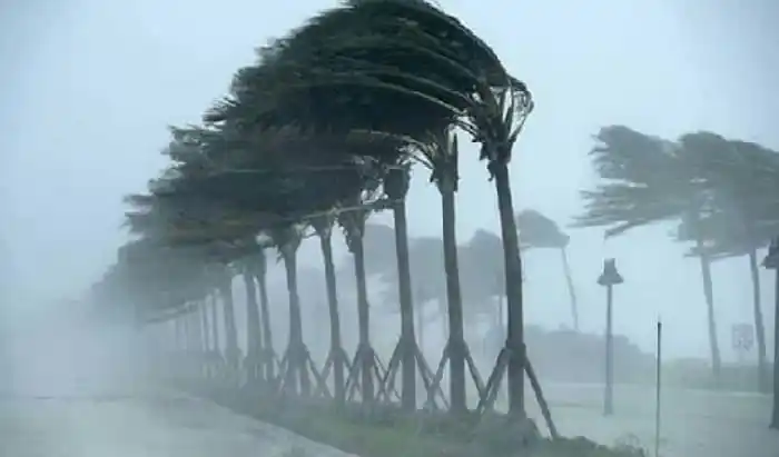 বাতাসে দুলছে ঝড়ো হাওয়ার কারণে ঝোপঝাড় ও গাছের শাখা. Channel i News - চ্যানেল আই নিউজ