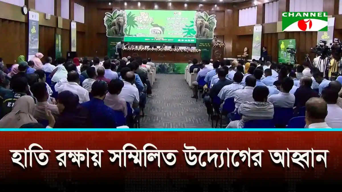 বাংলাদেশে হাতি রক্ষায় সম্মিলিত উদ্যোগের আলোচনা সভা. Channel i News - চ্যানেল আই নিউজ