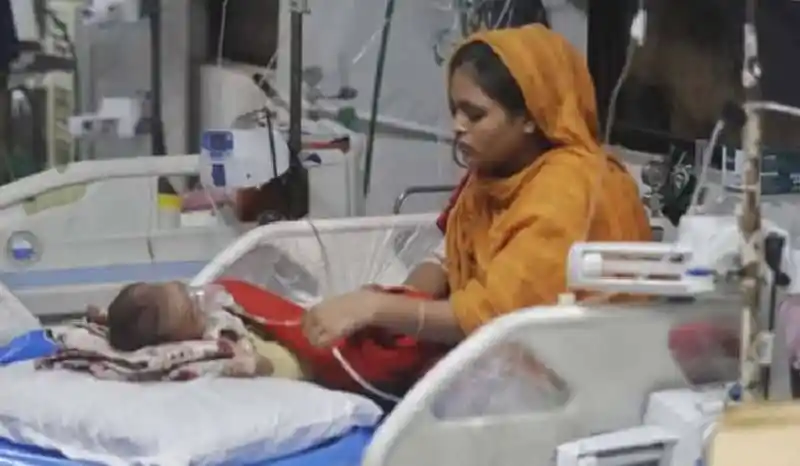 হামে আরও ৪ জনের মৃত্যু