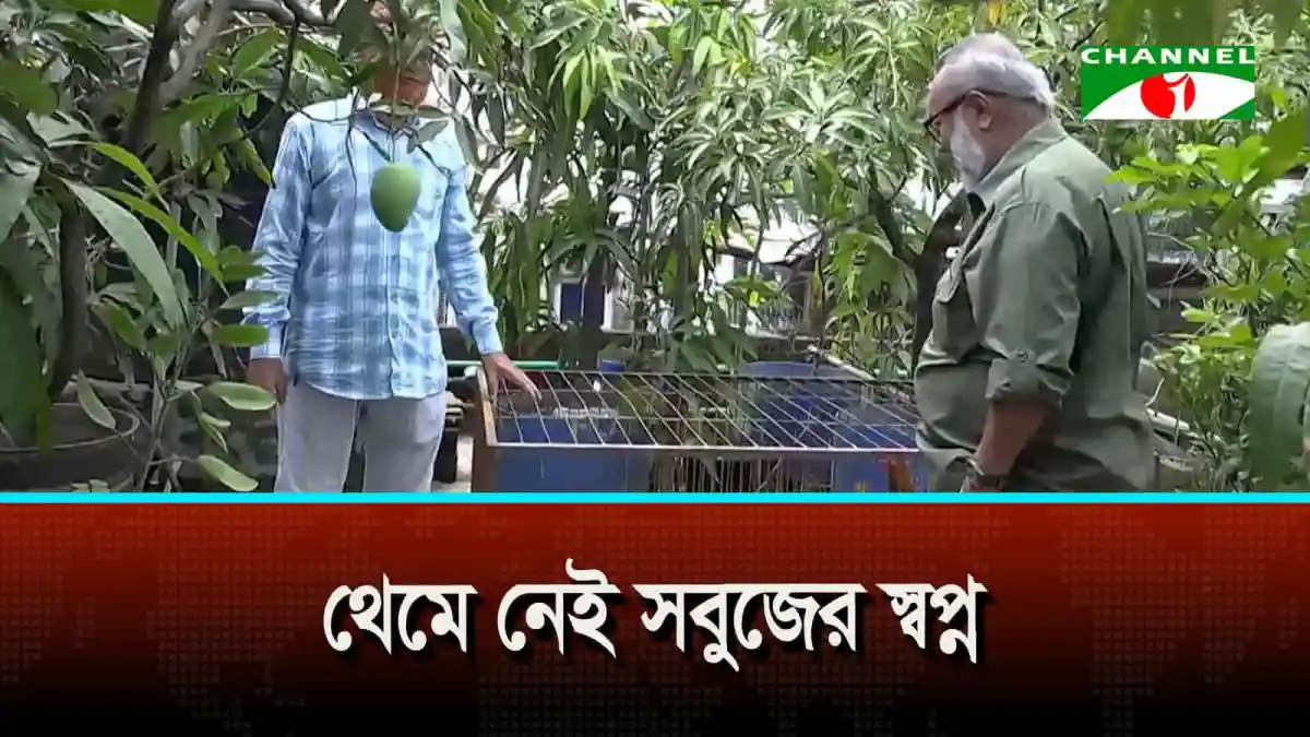 ভবনের ছাদে ছাদে গড়ে উঠছে ছাদকৃষি
