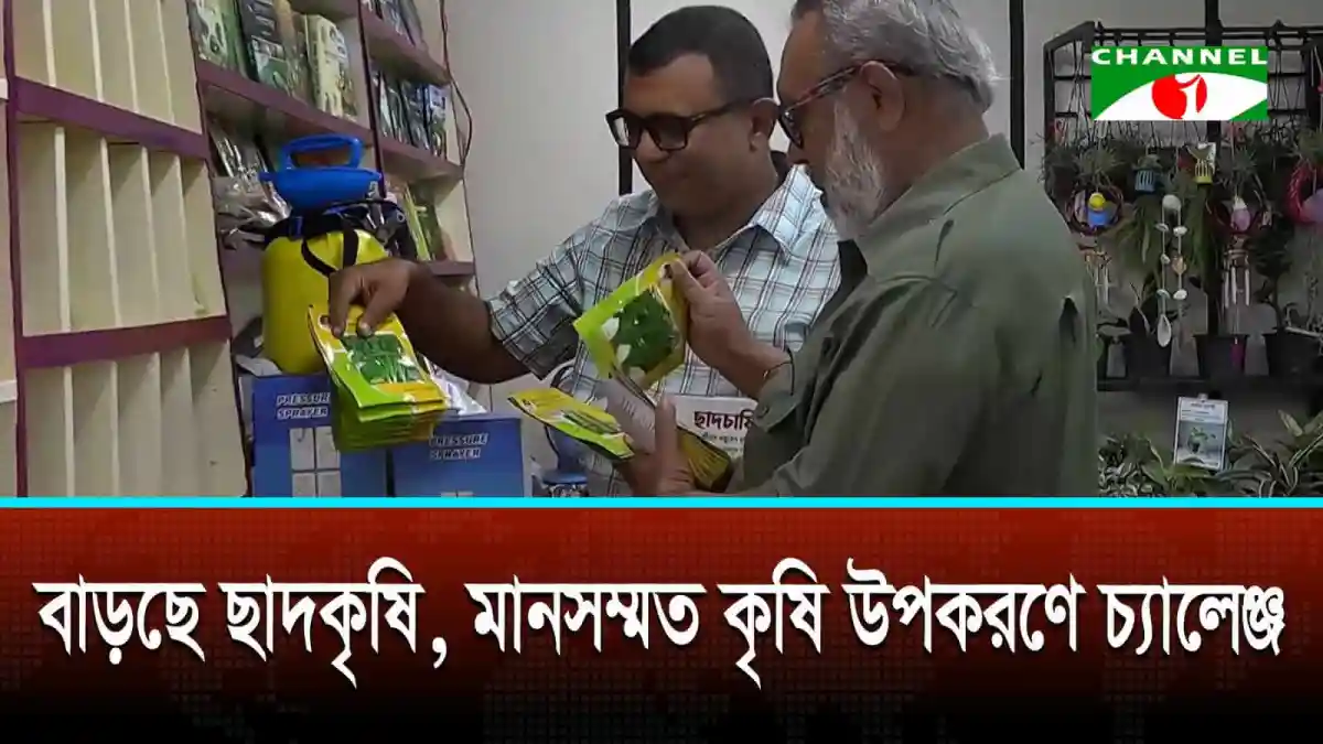 বাড়ছে ছাদকৃষির পরিধি, মানসম্মত কৃষি উপকরণ নিয়ে চ্যালেঞ্জ