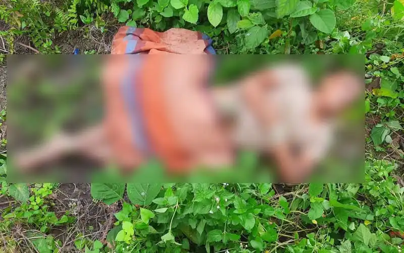 গাইবান্ধায় স্কচটেপ দিয়ে হাত-পা বাঁধা যুবকের মরদেহ উদ্ধার. Channel i News - চ্যানেল আই নিউজ