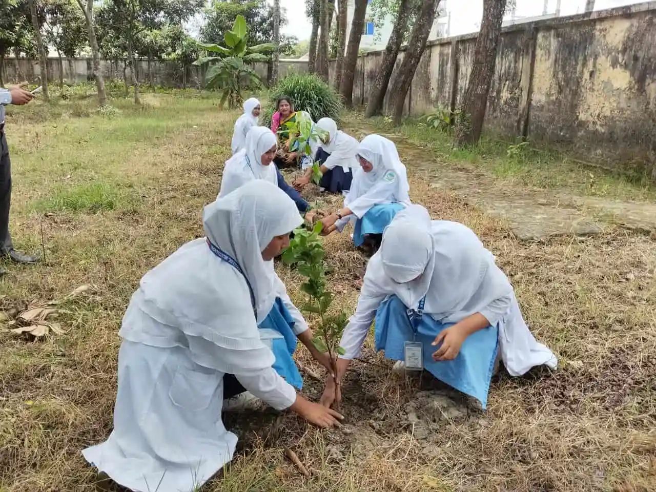 মুক্তাগাছায় প্রকৃতি ও জীবন ক্লাবের বৃক্ষরোপণ কর্মসূচি. Channel i News - চ্যানেল আই নিউজ