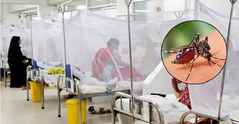 ডেঙ্গু আক্রান্ত রোগীদের জন্য হাসপাতালে চিকিৎসা চলমান. Channel i News - চ্যানেল আই নিউজ